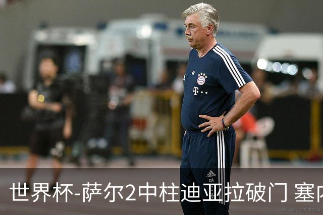 世界杯-萨尔2中柱迪亚拉破门 塞内加尔半场暂1-0比利时