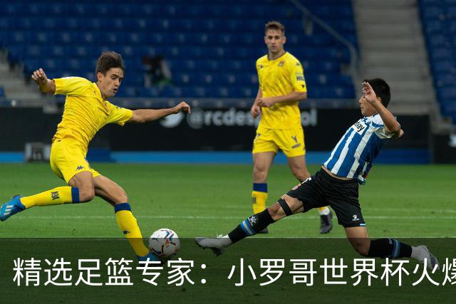 精选足篮专家：小罗哥世界杯火爆9连红长线15中13！